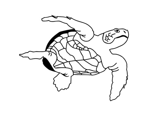 Printy 4924 Tauchstempel 26 Taucherstempel Schildkröte SCHWARZ BLAU